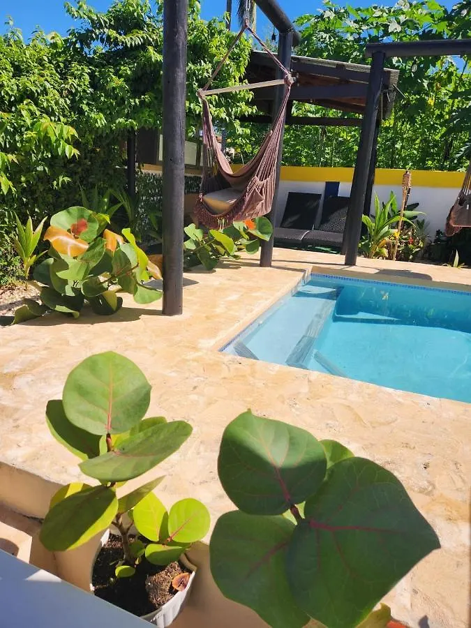 Tropicoco Pool House Steps From The Beach Puerto Nuevo Дом отдыха